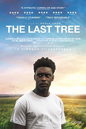 Son ağaç 2019 Filmi Türkçe Altyazılı Full izle