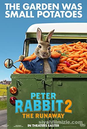 Peter Rabbit 2: Kaçak Tavşan Filmi Türkçe Dublaj Full izle