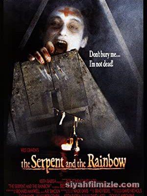 Yılan ve Gökkuşağı izle | The Serpent and the Rainbow izle (1988)