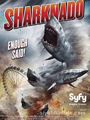 Köpekbalığı İstilası (Sharknado) 2013 Türkçe Dublaj izle