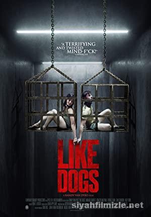 Like Dogs (2021) Türkçe Altyazılı Filmi Full izle