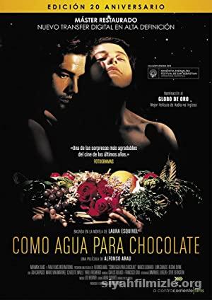Acı Çikolata (1992) Türkçe Altyazılı Full Yetişkin Film izle