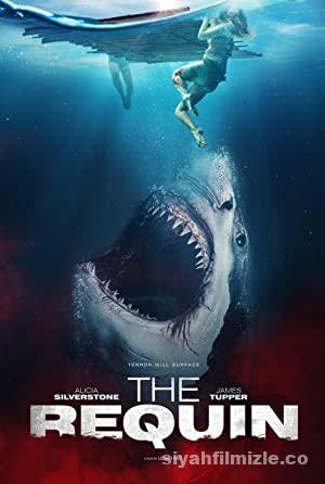 The Requin 2022 Filmi Türkçe Altyazılı Full 4k izle