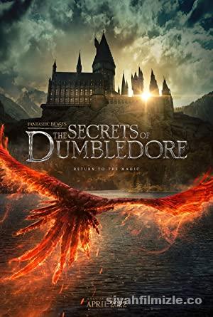 Fantastik Canavarlar Dumbledoreun Sırları izle