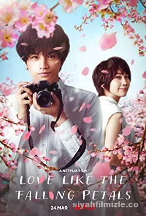 Love Like the Falling Petal 2022 Filmi Türkçe Dublaj 4k izle
