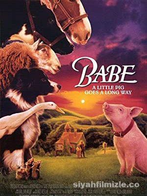 Bebe (Babe) 1995 Türkçe Dublaj Filmi Full HD izle