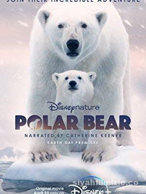 Polar Bear 2022 Türkçe Altyazılı Filmi Full 4k izle