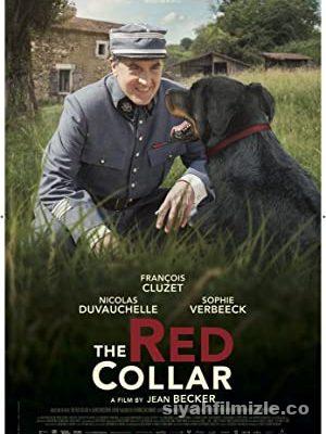 The Red Collar 2018 Filmi Türkçe Dublaj Full 4k izle