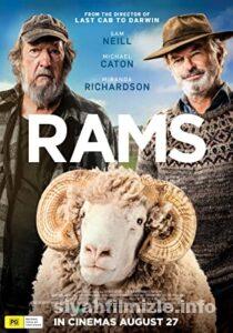 Rams 2020 Türkçe Altyazılı Filmi Full 4k izle