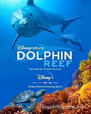 Dolphin Reef 2018 Filmi Türkçe Dublaj Full izle