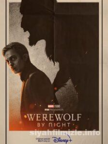 Werewolf by Night 2022 Filmi Türkçe Dublaj Full izle