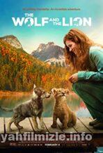 The Wolf and the Lion 2021 Filmi Türkçe Dublaj Full izle