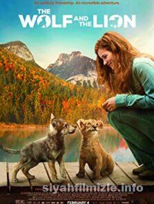 The Wolf and the Lion 2021 Filmi Türkçe Dublaj Full izle