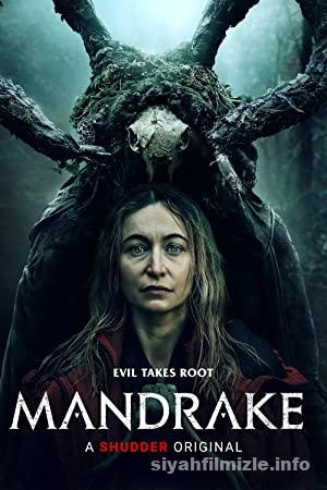 Mandrake 2022 Filmi Türkçe Altyazılı Full izle