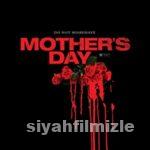 Anneler Günü 2010 Filmi Türkçe Dublaj Altyazılı Full izle